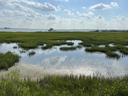 9th Jul 2023 - Low tide marsh and Charleston Harbor in the distance