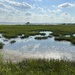 Low tide marsh and Charleston Harbor in the distance by congaree