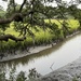 The tidal creek outside my apartment by congaree