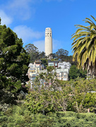 9th Jul 2023 - Coit Tower