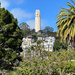 Coit Tower by shutterbug49
