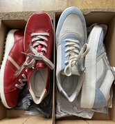 30th Jun 2023 - New shoes.....