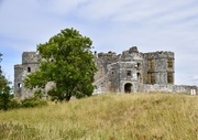 10th Jul 2023 - Carew Castle