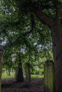 10th Jul 2023 - The fascination of a graveyard………