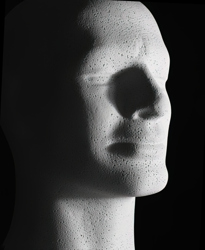 Styrofoam head by davidrobinson