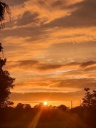 10th Jul 2023 - Tigerish sunset