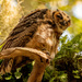 The Great Horned Owl, Somewhat Fluffed Up! by rickster549