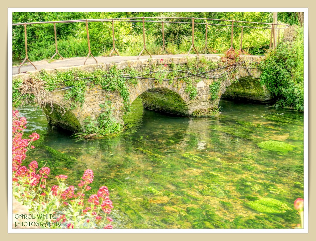 Bridge over The River Coln,Bibury by carolmw