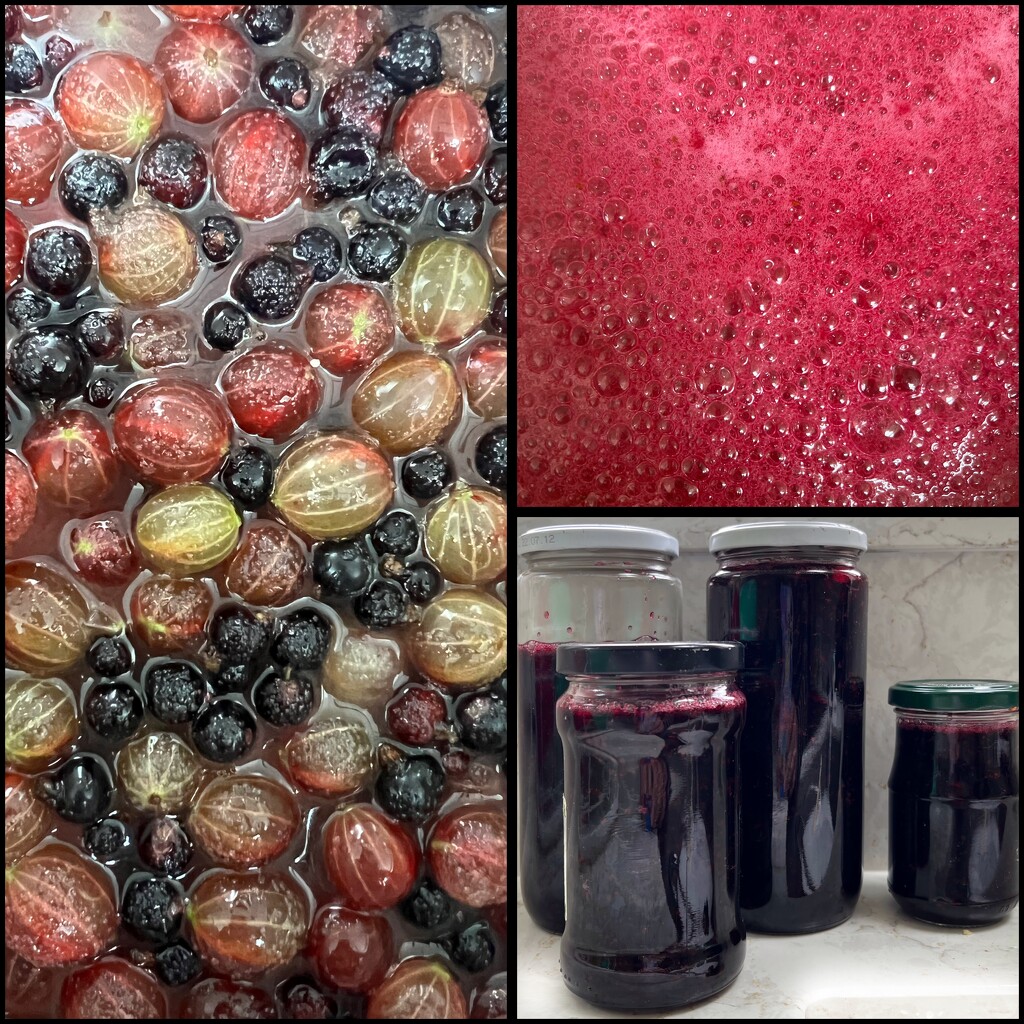 Gooseberry and blackcurrant jam by tinley23