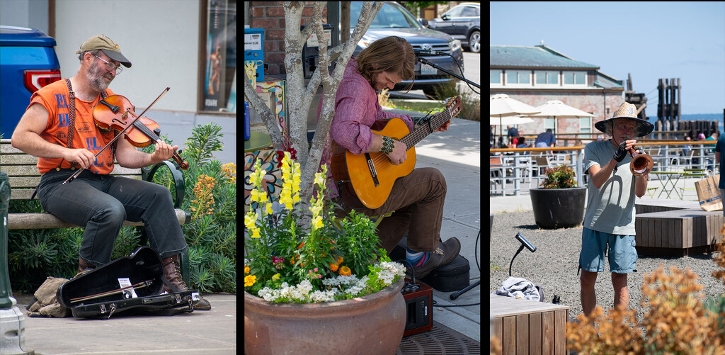 Musician Series by theredcamera