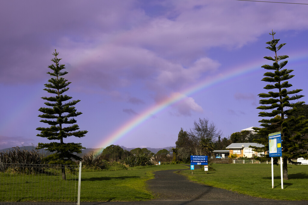 Just before it bucketed down by sandradavies