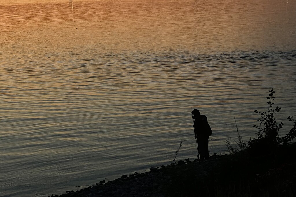 Silhouette at Sunset by tapucc10