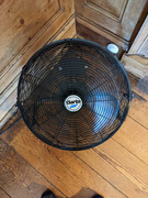 24th Jun 2023 - One of my many fans