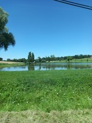 12th Jul 2023 - Fishing pond