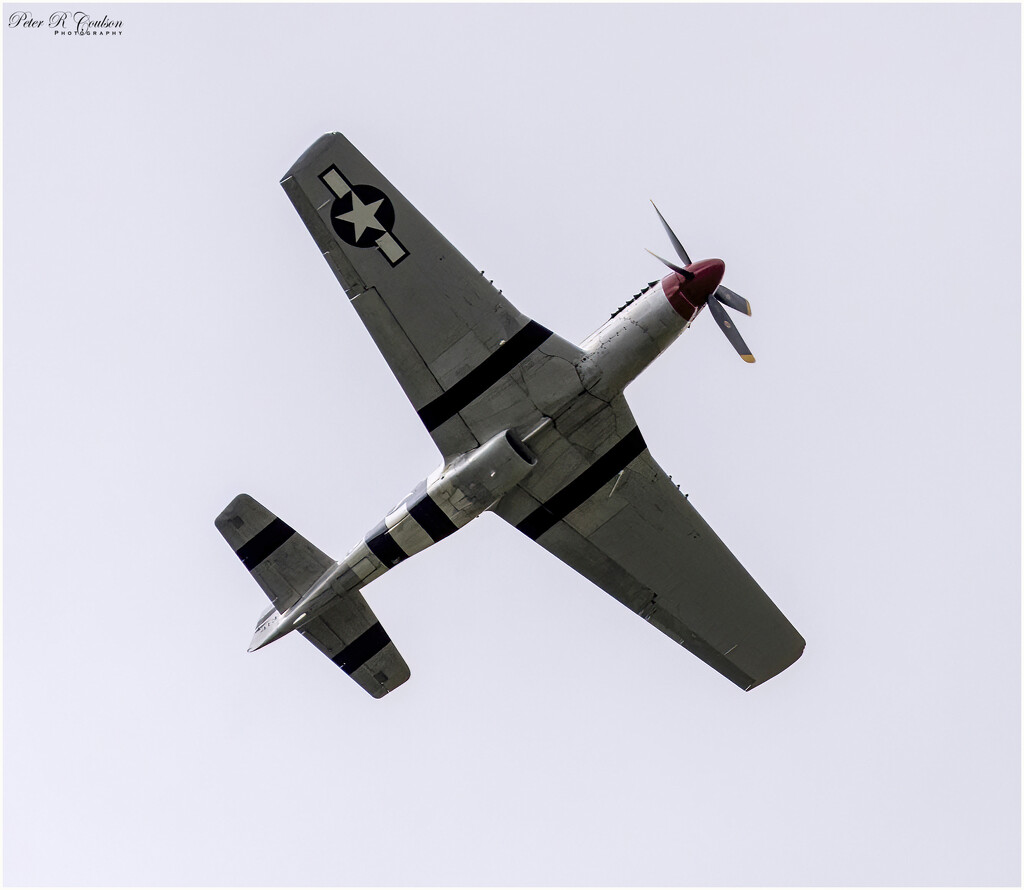 P51 Mustang by pcoulson