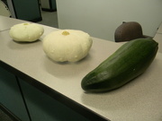 12th Jul 2023 - Squashes on Counter Space 