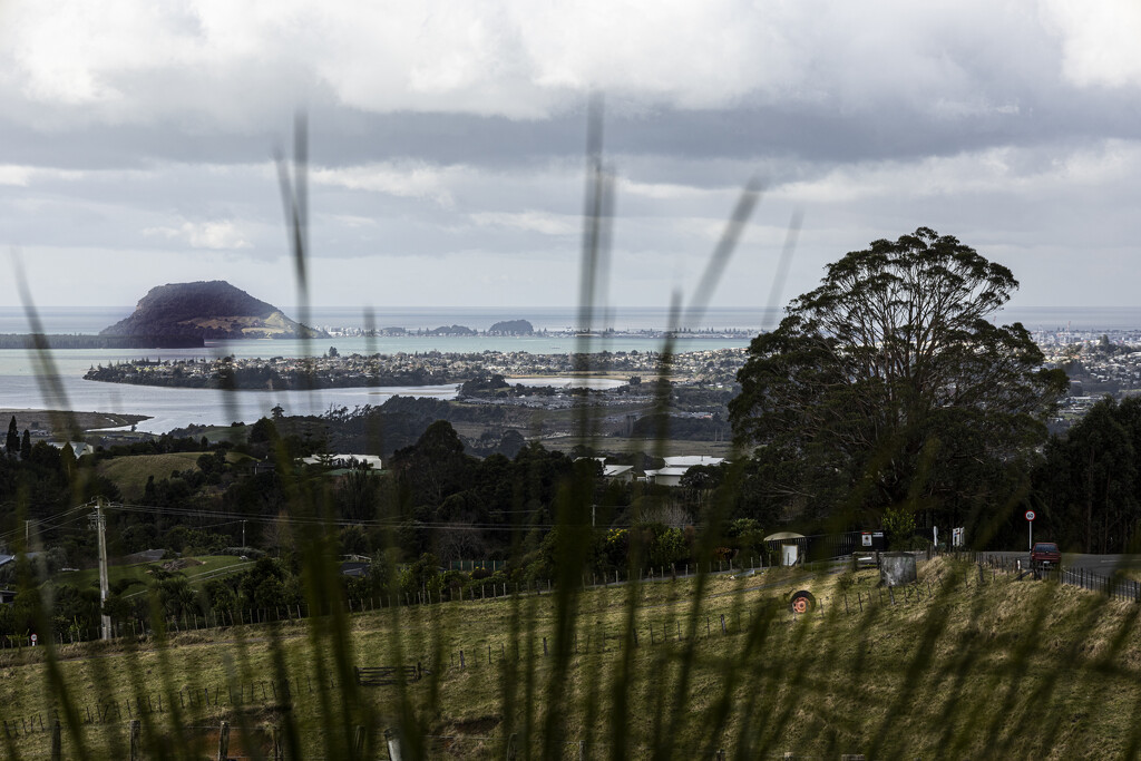 View through the grass by sandradavies