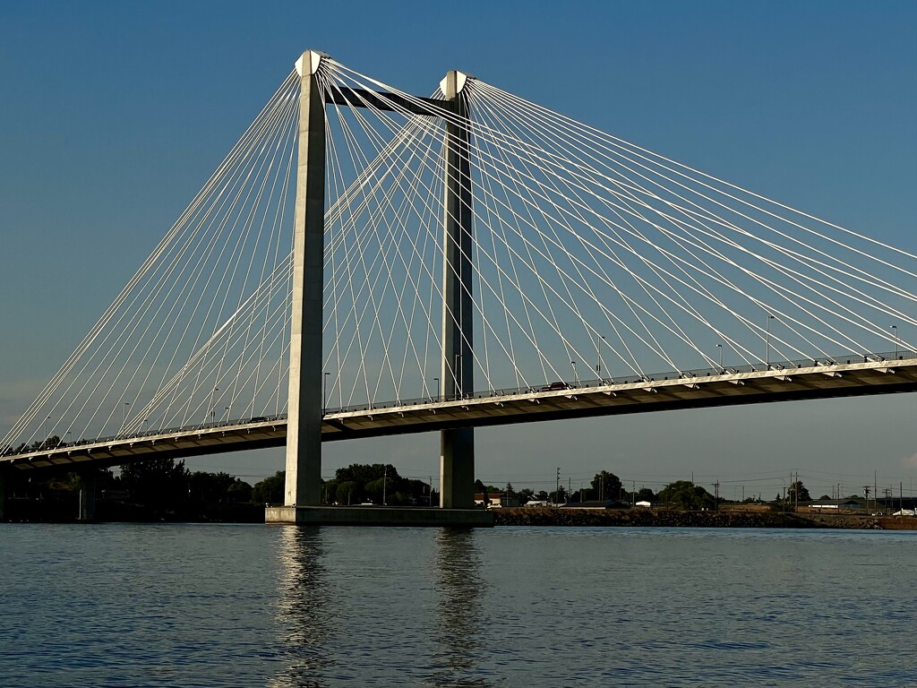 Cable Bridge over the Columbia by tapucc10