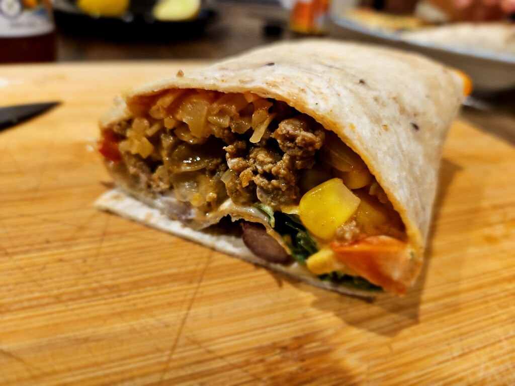 Turkey burrito by mistral604