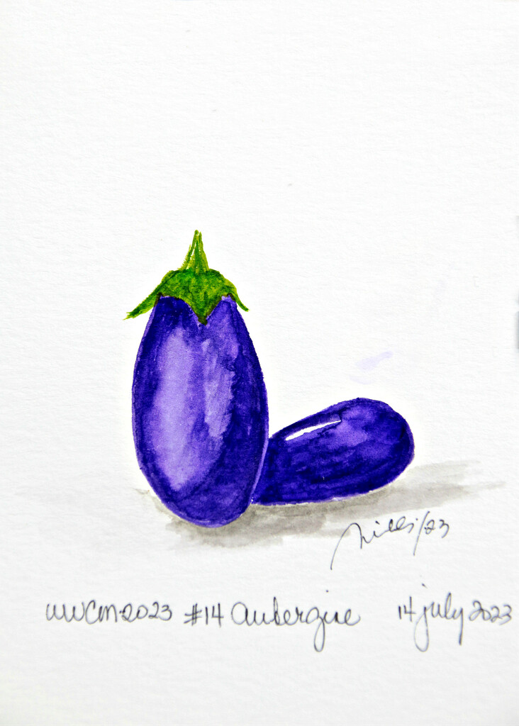 aubergine by summerfield