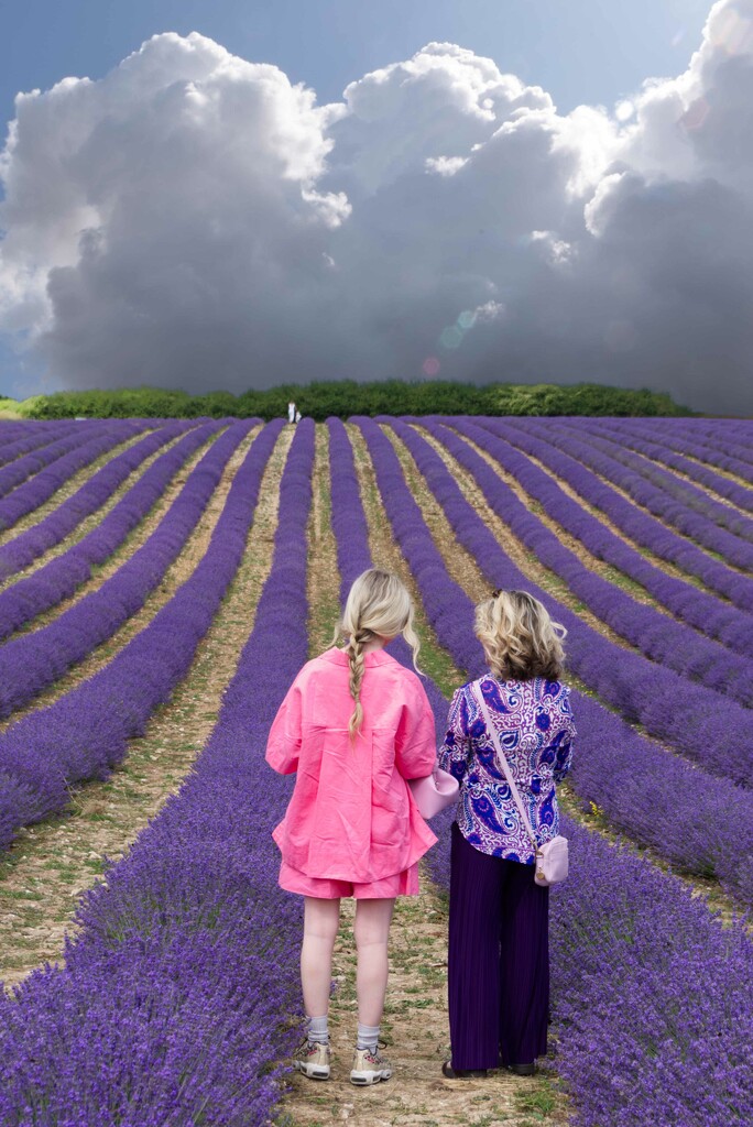 Ladies in Lavender, One in Pink by 30pics4jackiesdiamond