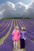 13th Jul 2023 - Ladies in Lavender, One in Pink