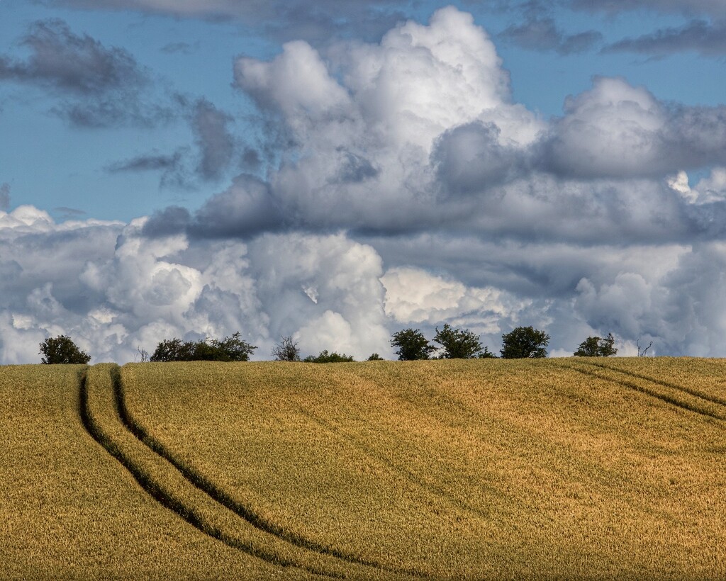Rural Fife and the magnificent clouds we frequently get in the East Neuk. by billdavidson