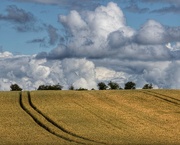 13th Jul 2023 - Rural Fife and the magnificent clouds we frequently get in the East Neuk.