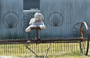12th Jul 2023 - Teddy Riding On Old Farm Equipment