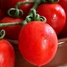 Tomatoes  by gaillambert
