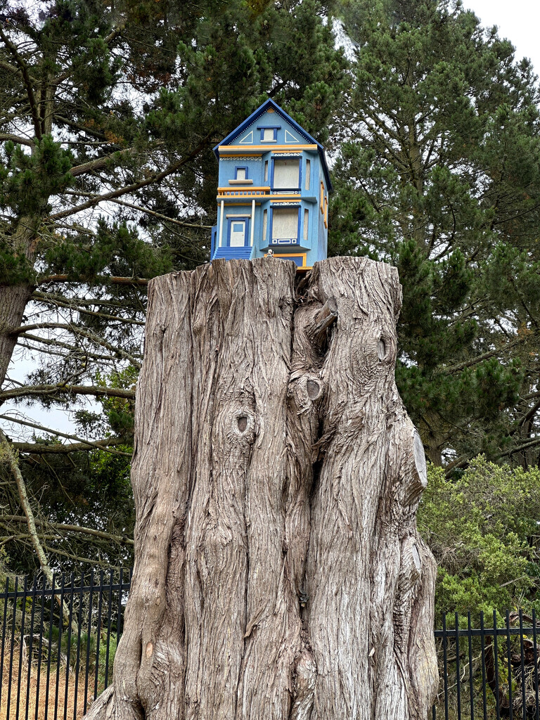 Little house statue by shutterbug49