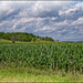 Iowa Countryside by bluemoon