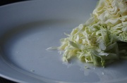 14th Jul 2023 - Cabbage