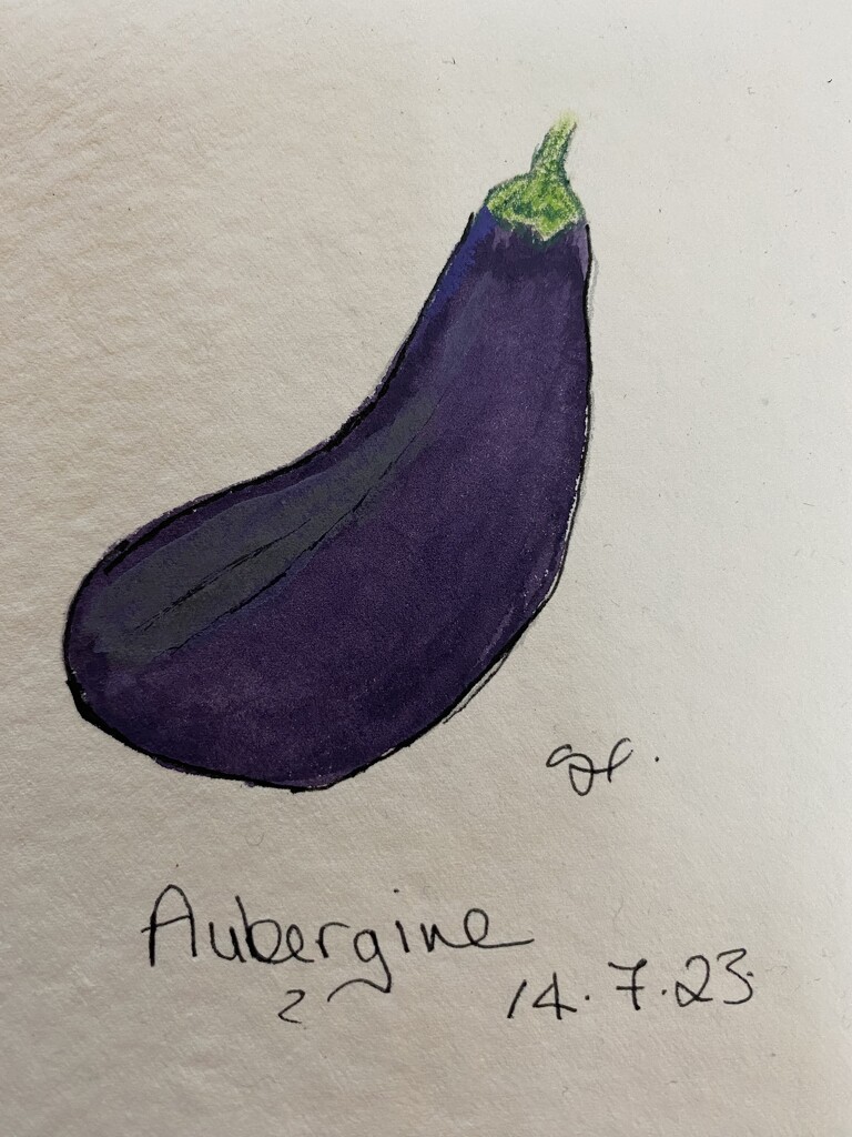 Aubergine  by wakelys