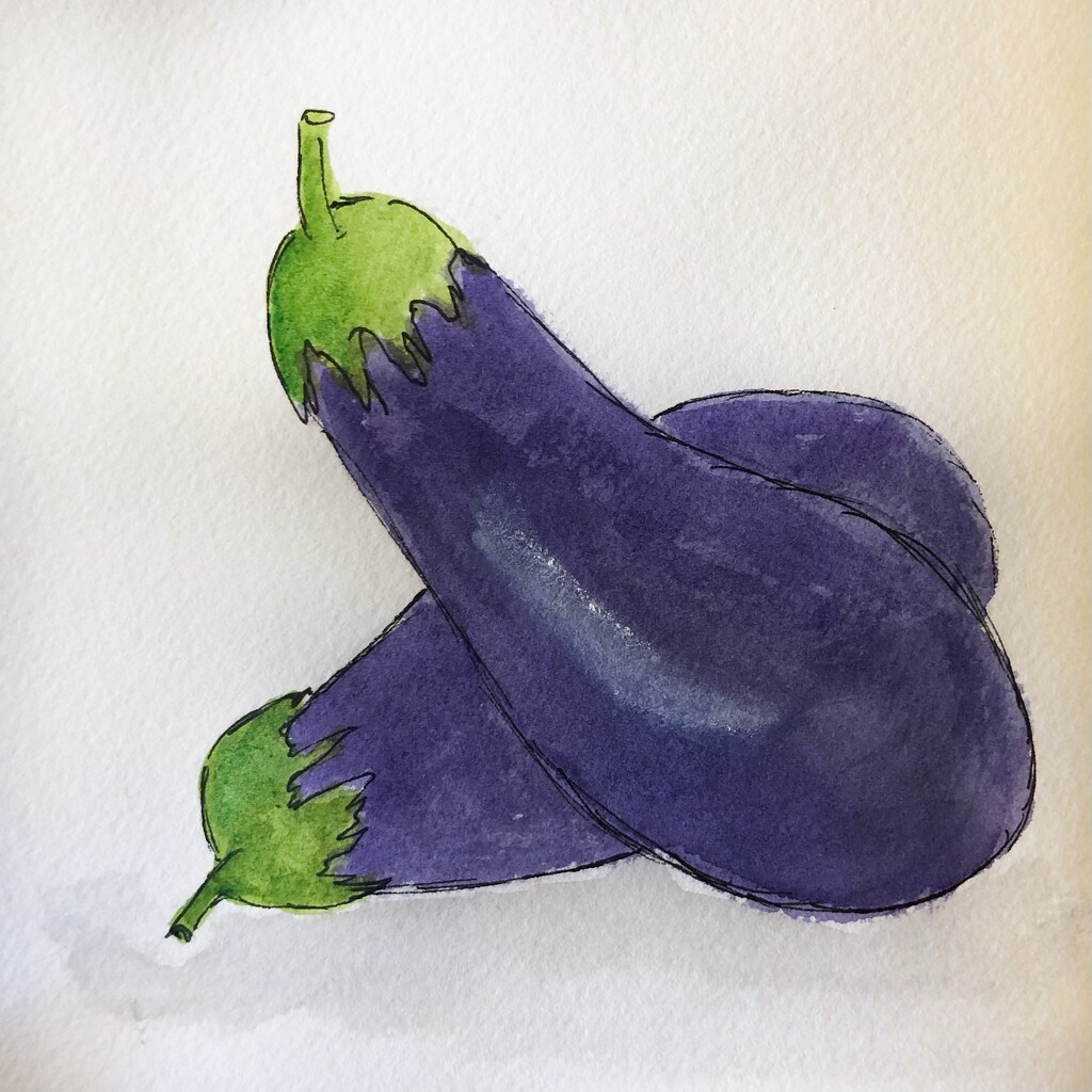 Aubergine  by jacqbb