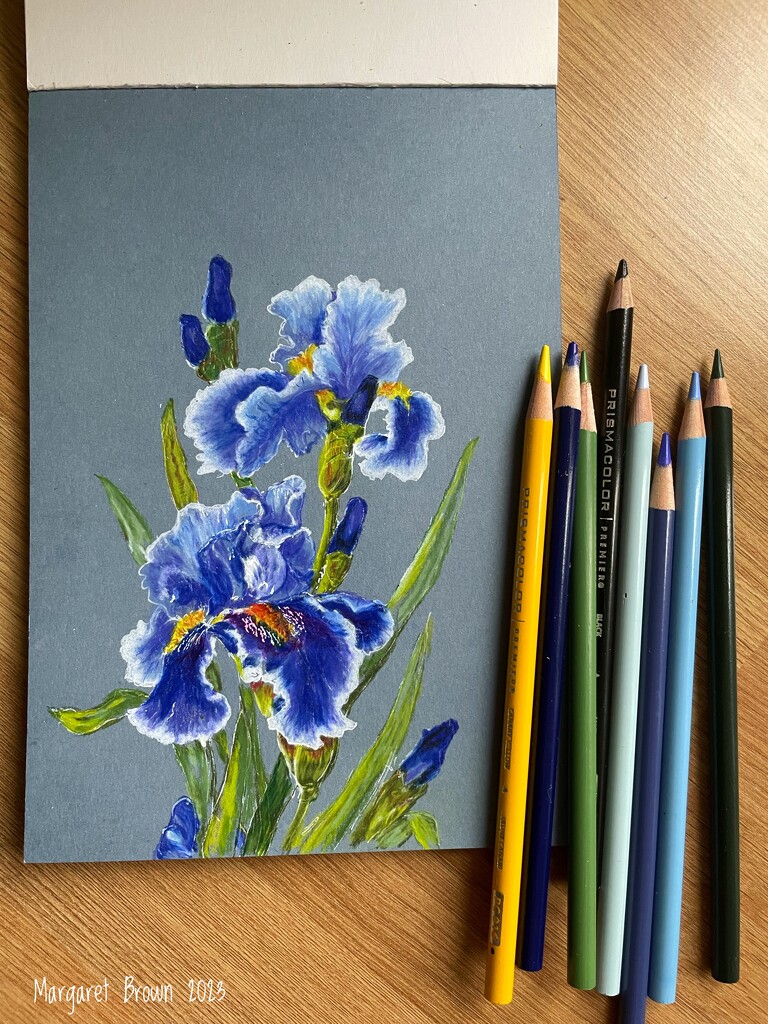 Iris  time by craftymeg