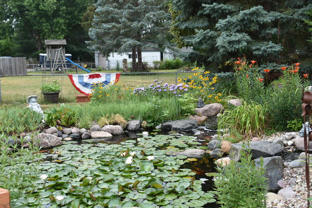 Our Pond by lisab514