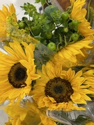 14th Jul 2023 - Sunflowers