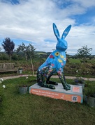 14th Jul 2023 - Another Hare Hop character 