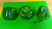 14th Jul 2023 - Peppers