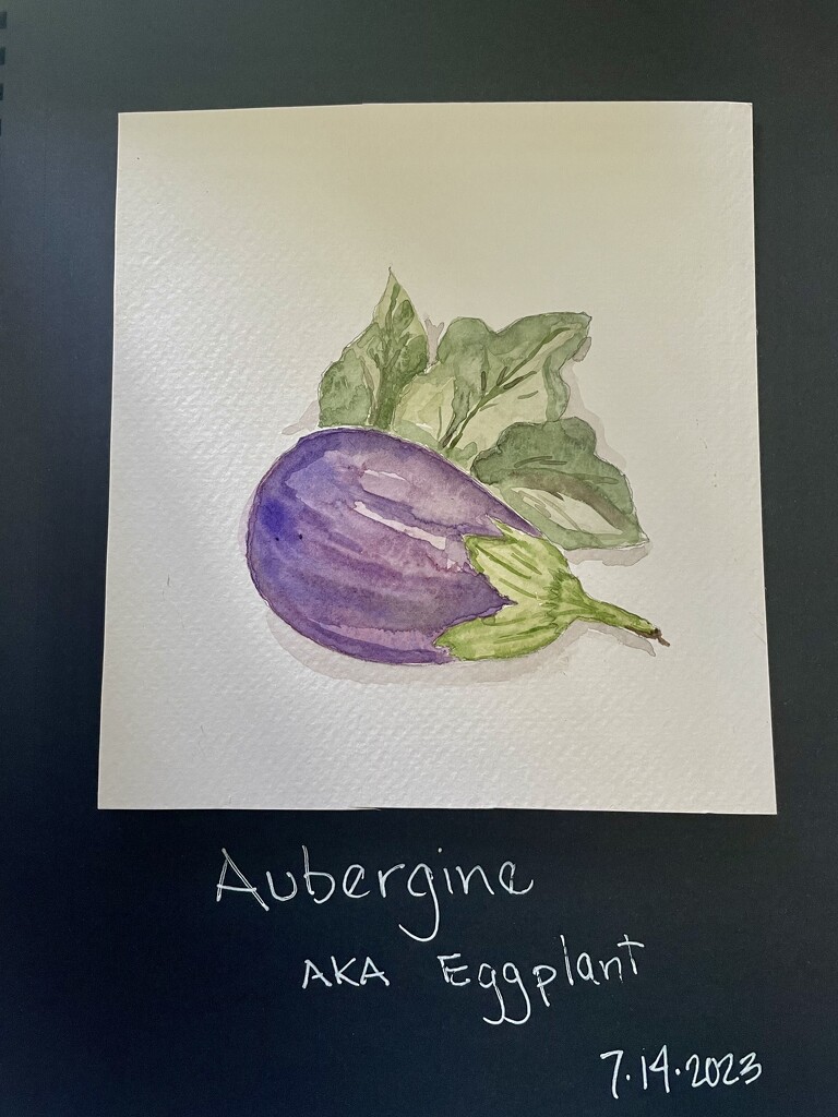 World Watercolor Month; Aubergine by theredcamera