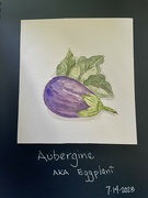14th Jul 2023 - World Watercolor Month; Aubergine