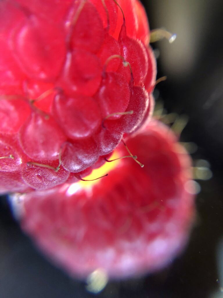 Raspberry on Mirror by metzpah