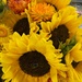 Jul 13 Sunflowers and straw flowers by sandlily