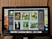 15th Jul 2023 - Working with Lightroom today