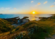15th Jul 2023 - Cornish sunset