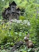 15th Jul 2023 - Bunny and Birdhouse