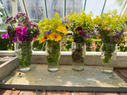 11th Jul 2023 - vases of flowers