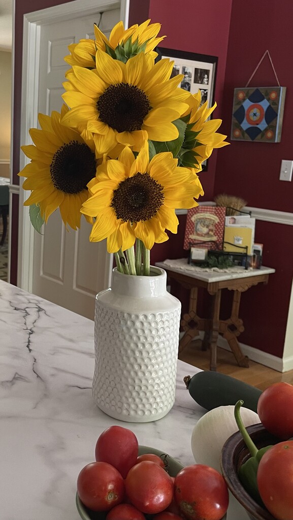 Our gift of sunflowers from our visiting grandson and his wife. by essiesue