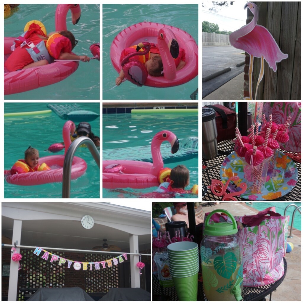 A Flamingo Birthday by allie912